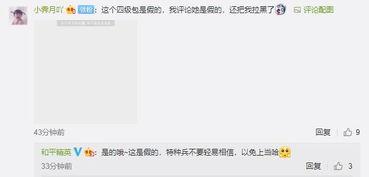 小白爆料视频大全集在线观看,揭秘幕后真相，尽在一线